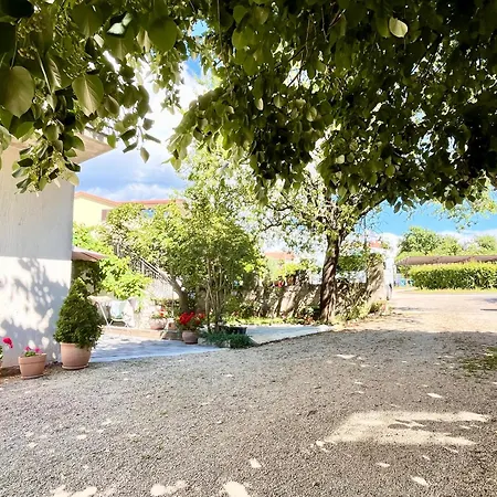 Spacious In 1 Bedroom Poreč